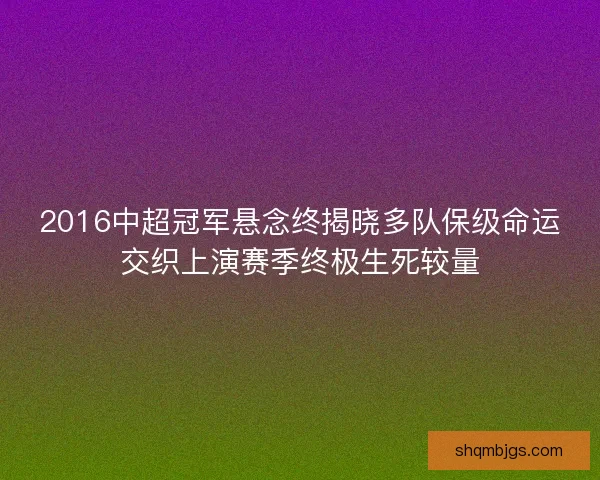 2016中超冠军悬念终揭晓多队保级命运交织上演赛季终极生死较量
