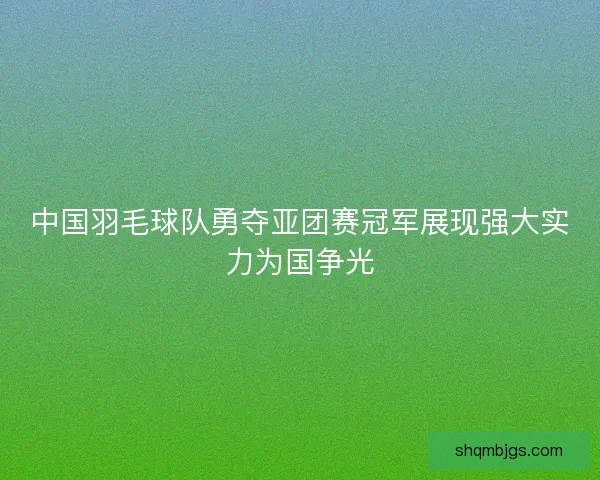 中国羽毛球队勇夺亚团赛冠军展现强大实力为国争光